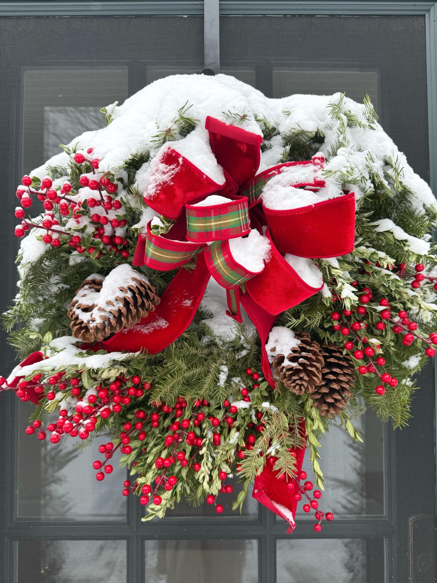 A front-of-house moment I&rsquo;ll never get tired of. ❤️❤️

#frontdoor #christmaswreath #home