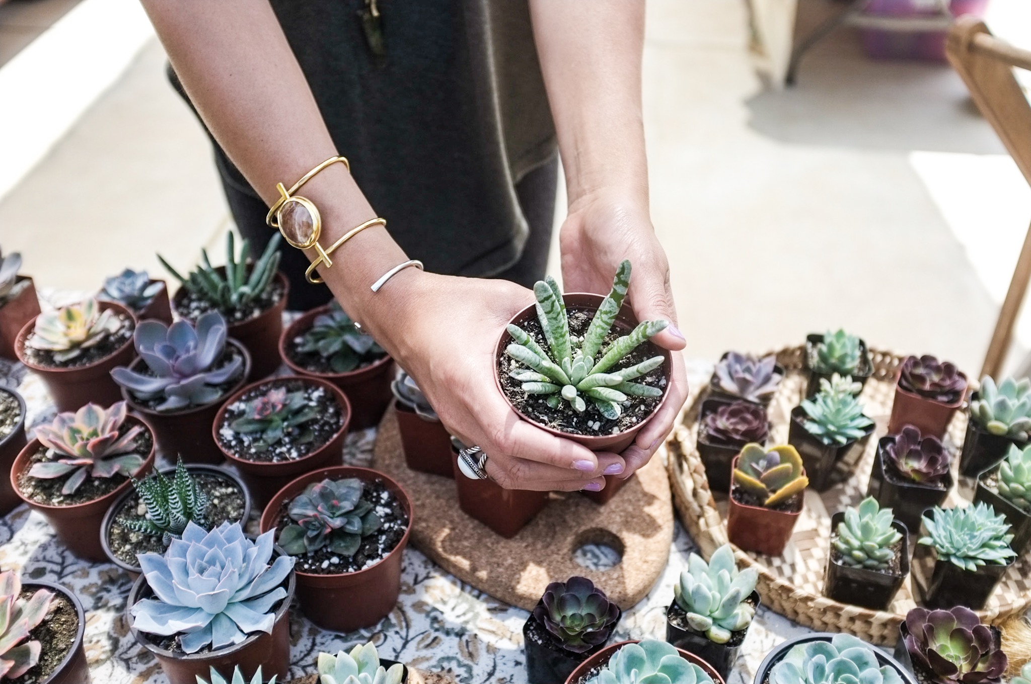 infinitesucculent_thenurtureblog_GABACCIA_barrelsandbranches_leucadia_20179779.jpg