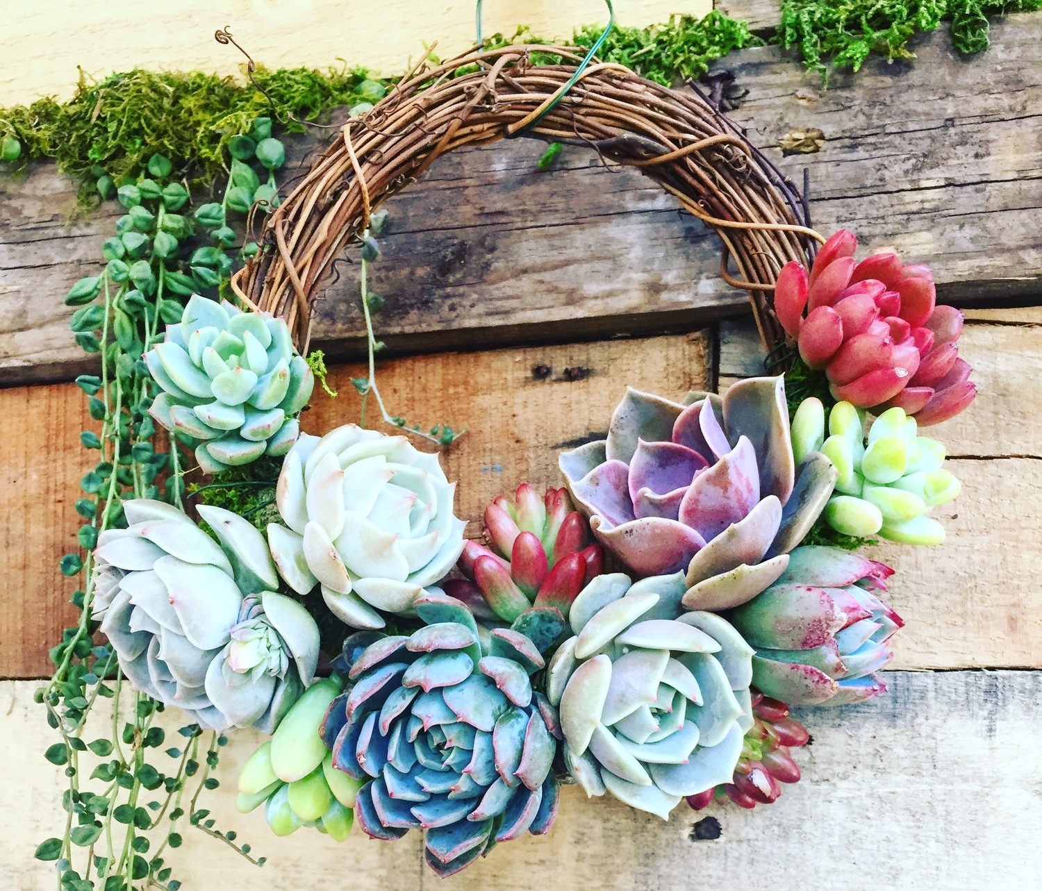 wreath.jpg