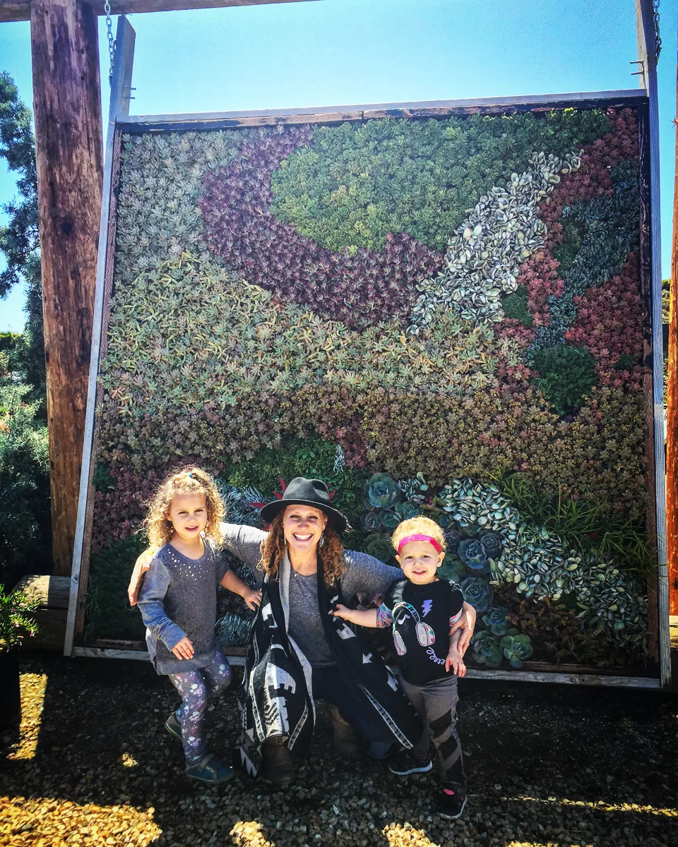 infinitesucculent_succulentsandparenthood 2016-05-21 14.19.49 HDR-2.jpg