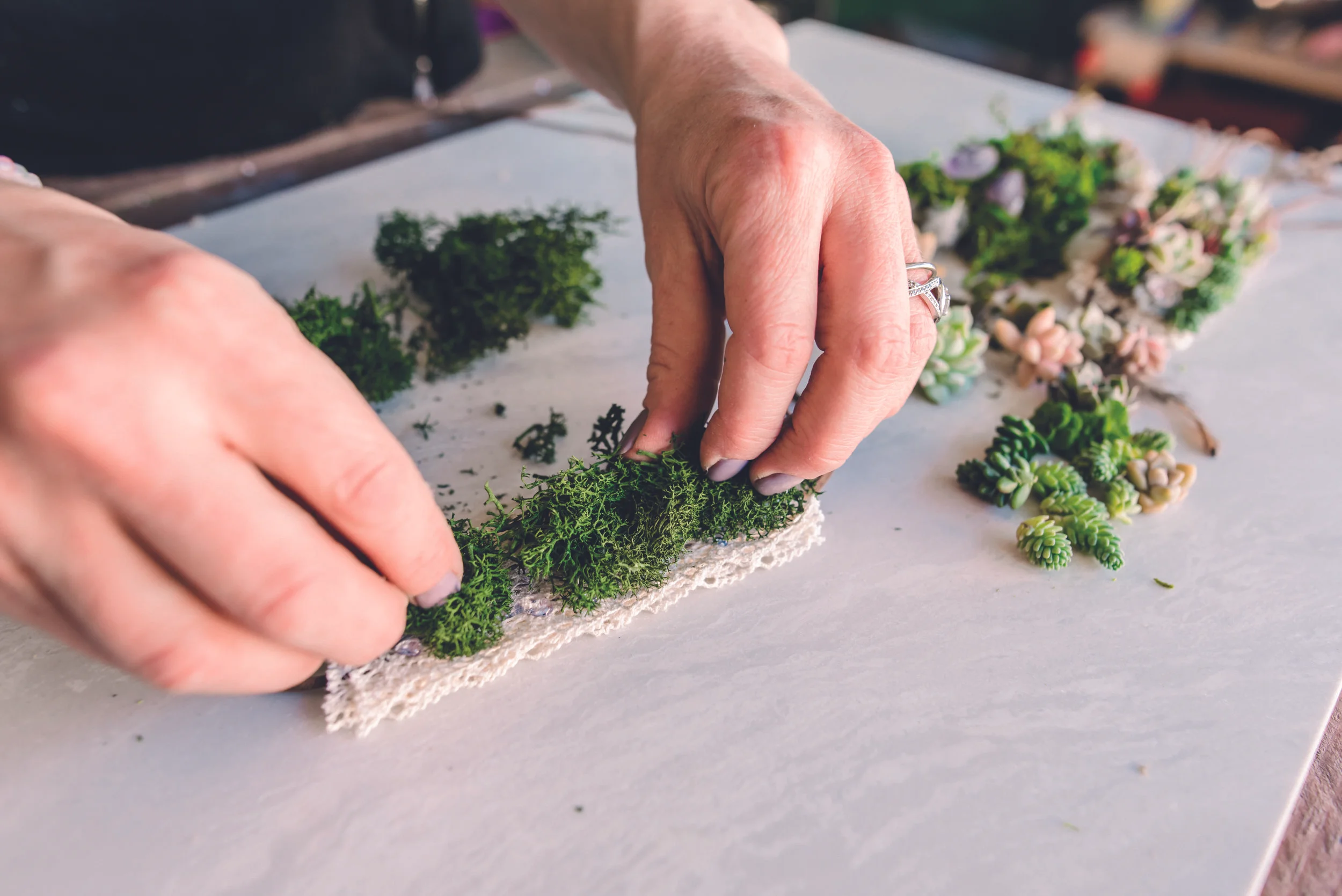Step 7:Glue on moss