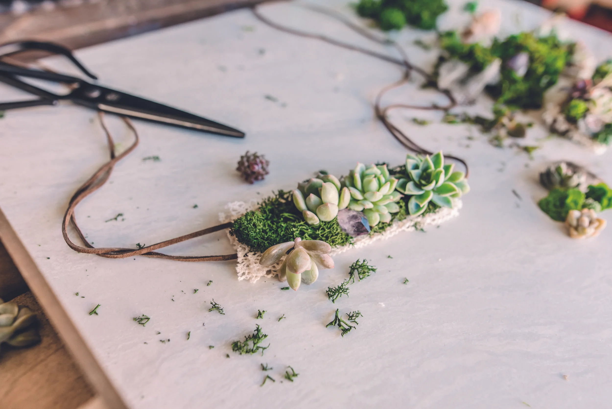 Step 8: Arrange your clippings and crystals