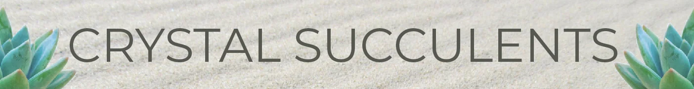 Succulents_Crystals_Rendel_Kristen_Gabaccia.jpg