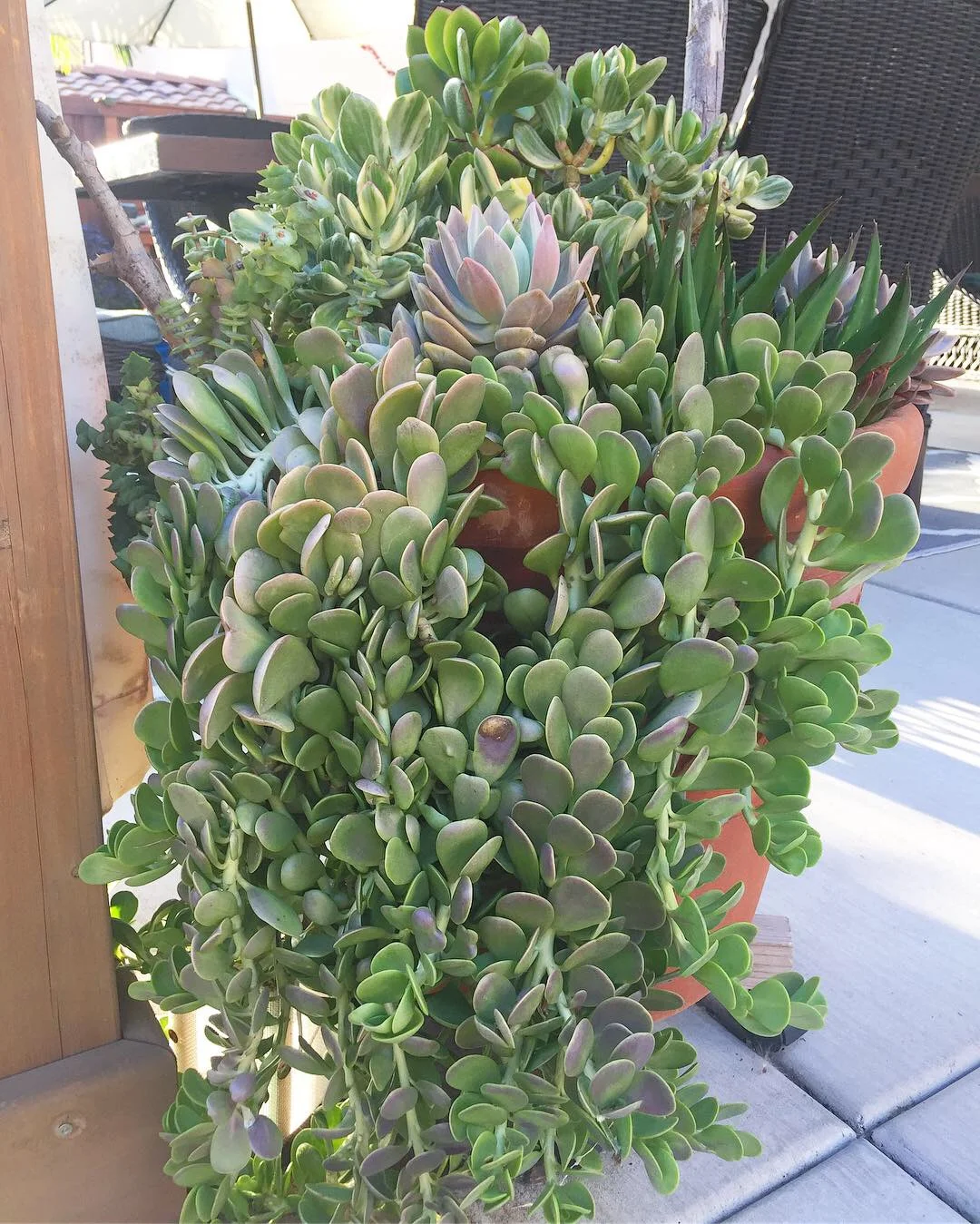 2018-09-27 17.33.20-1.jpg