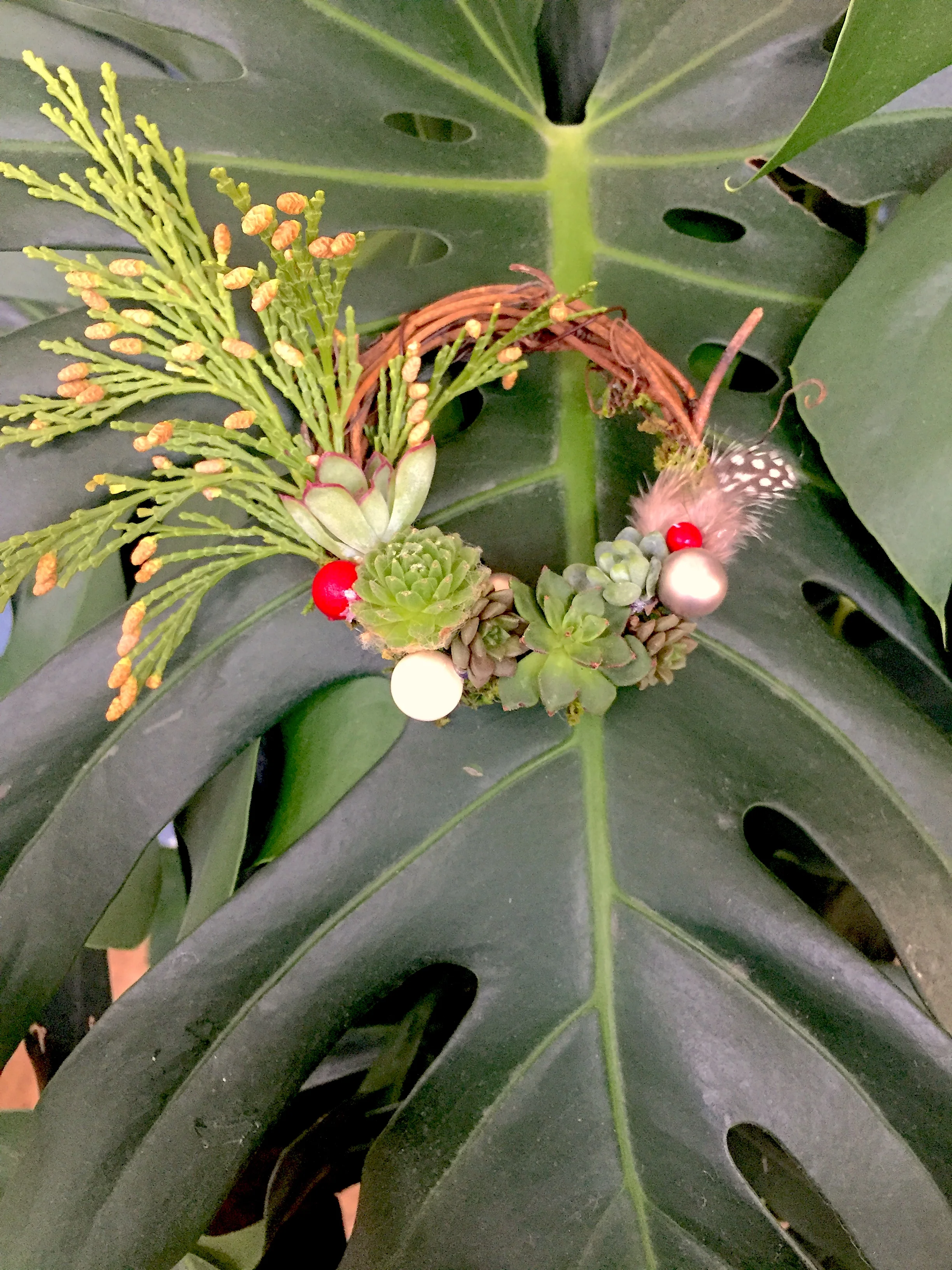 DIYMiniSucculentHolidayWreath_infinitesucculent.jpg