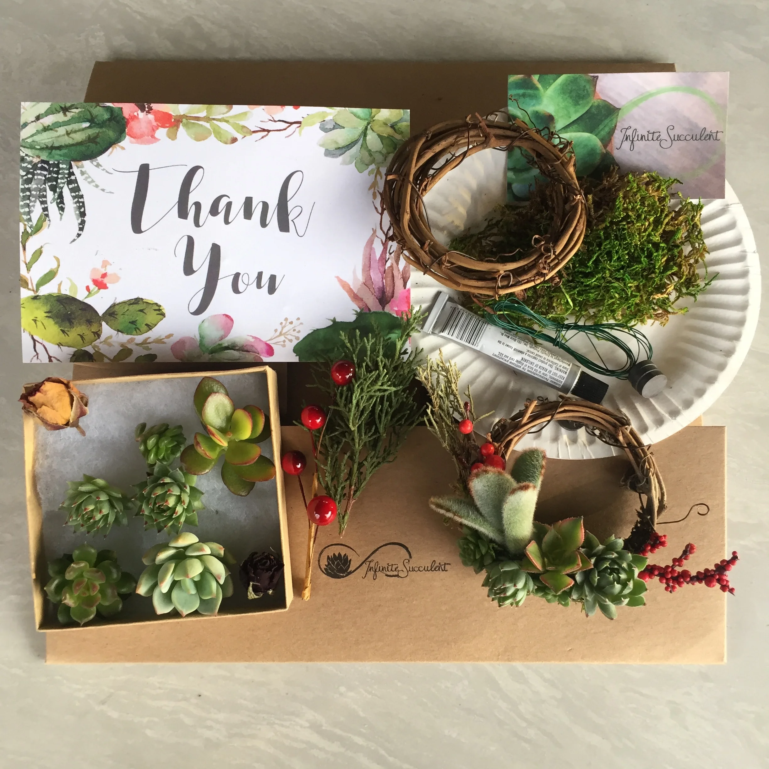 minisucculentwreath_diykit_infinitesucculent.jpg