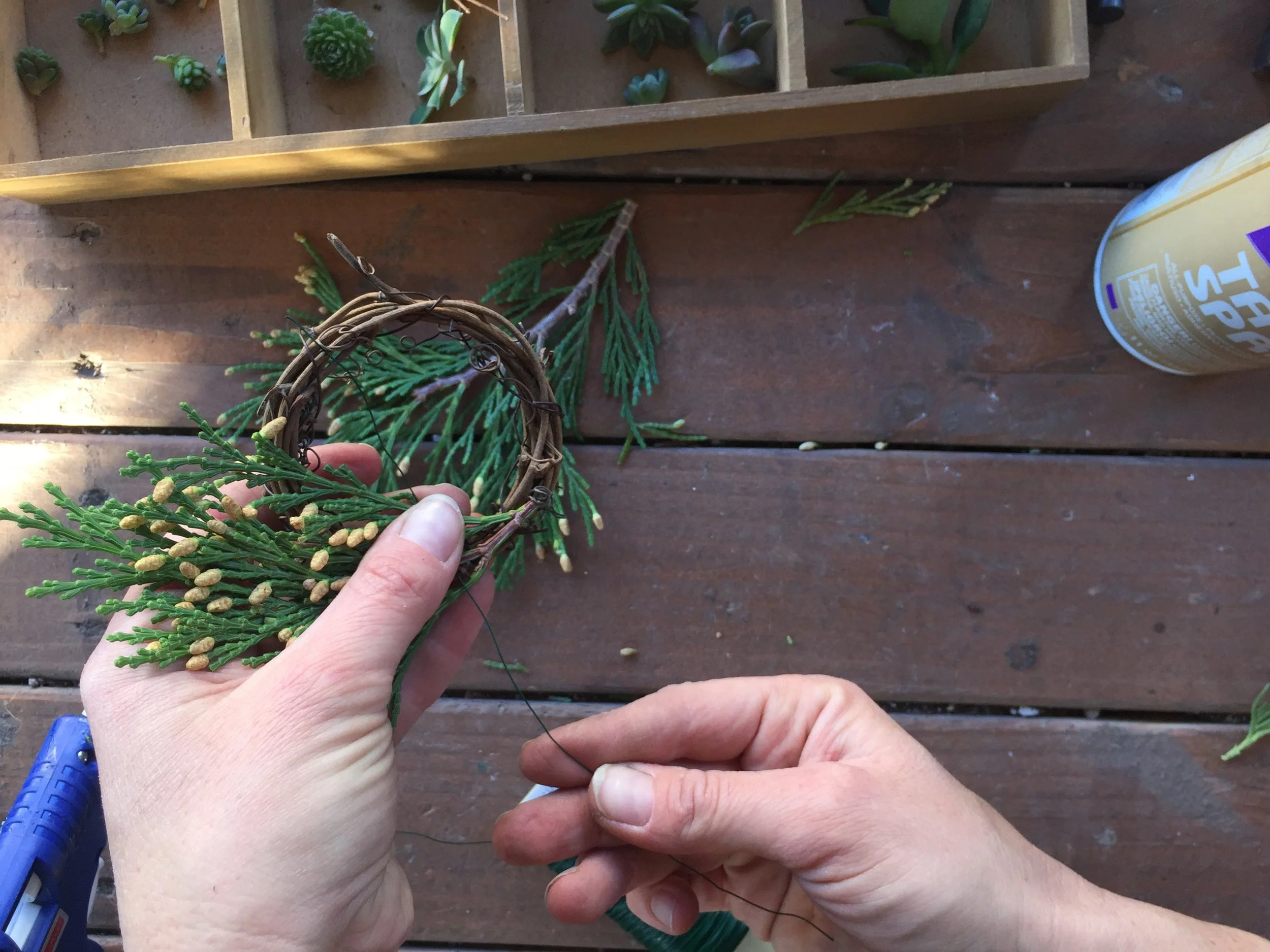 Step 2: Wrap your winter green clipping