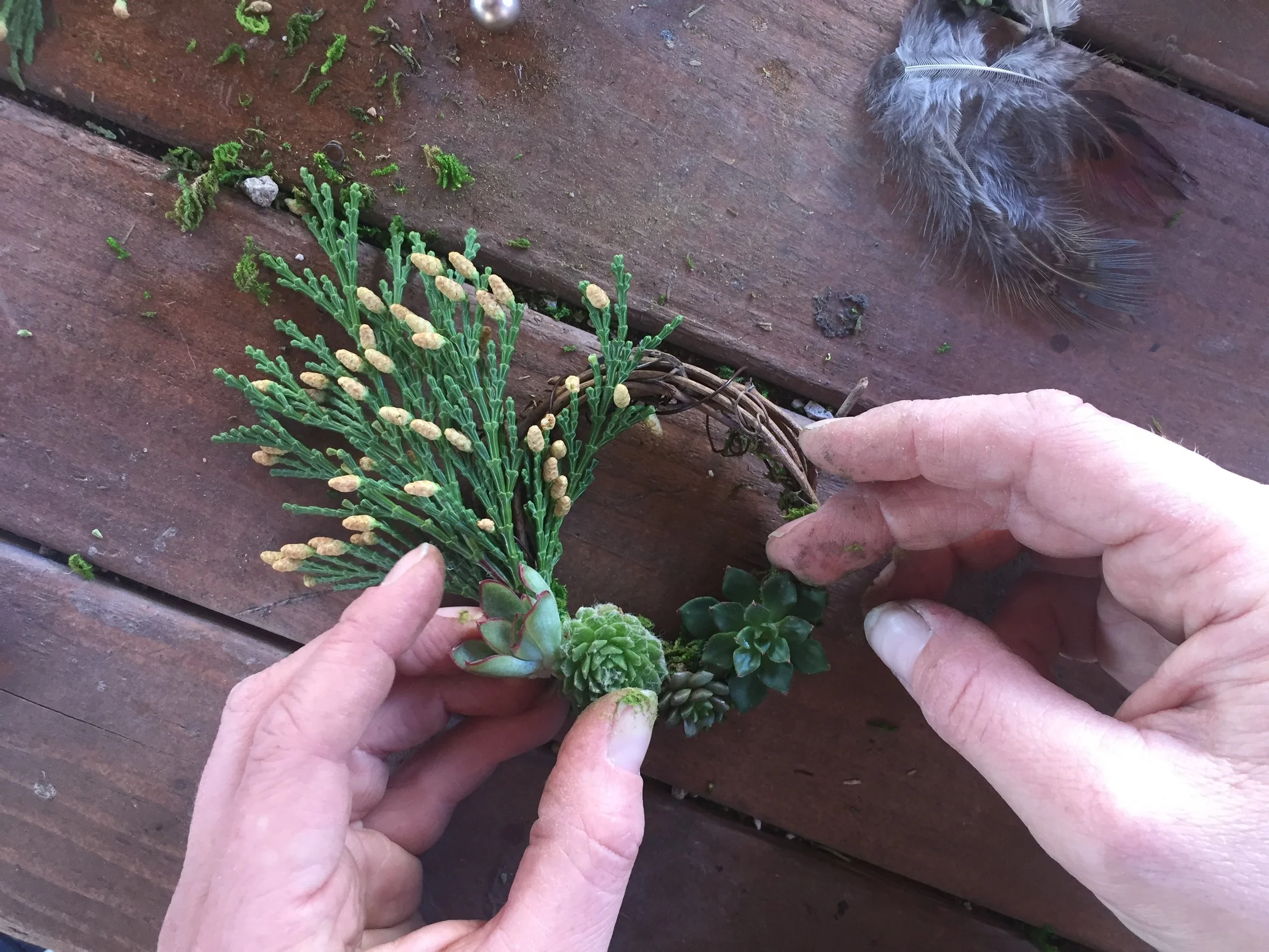 Step 5: Glue on succulent clippings