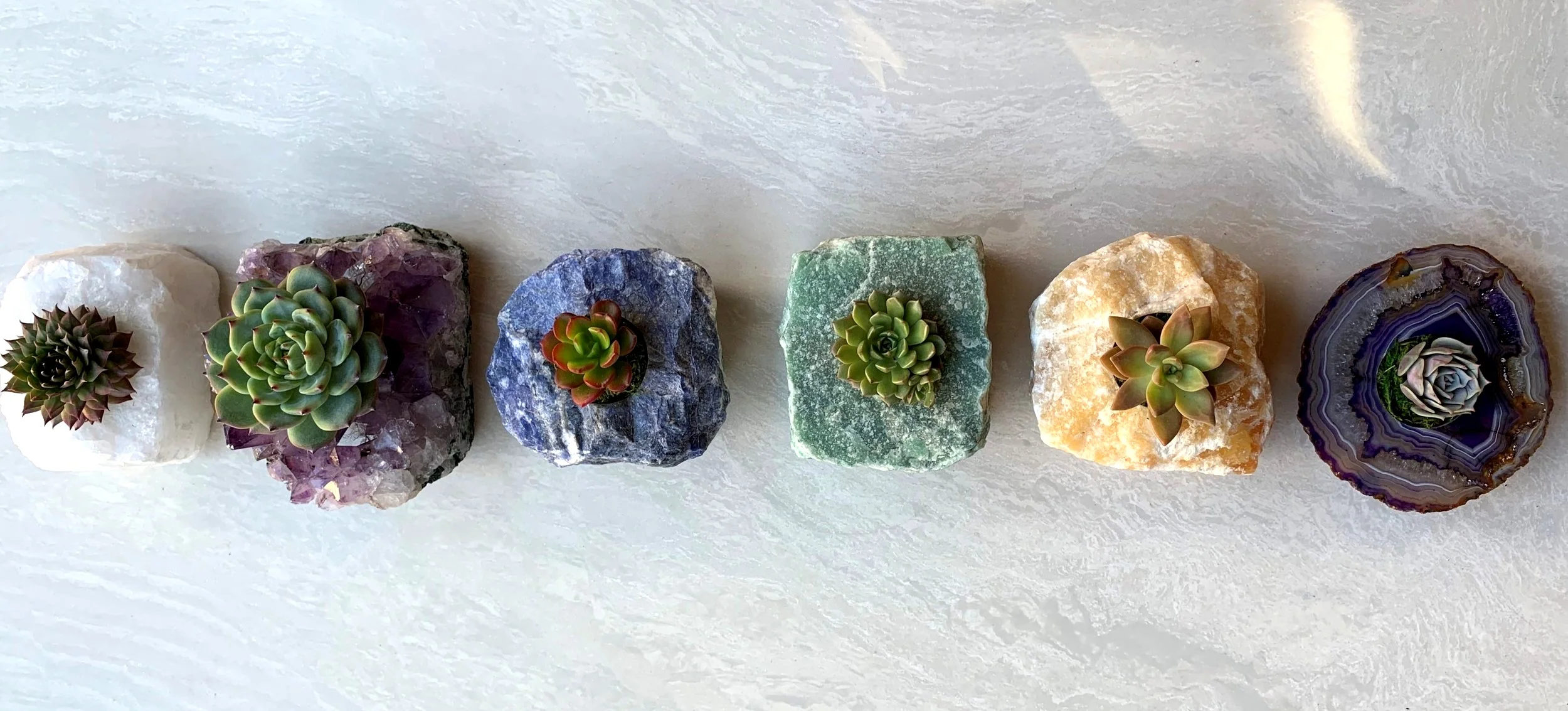 chakracrystalsucculents.jpg