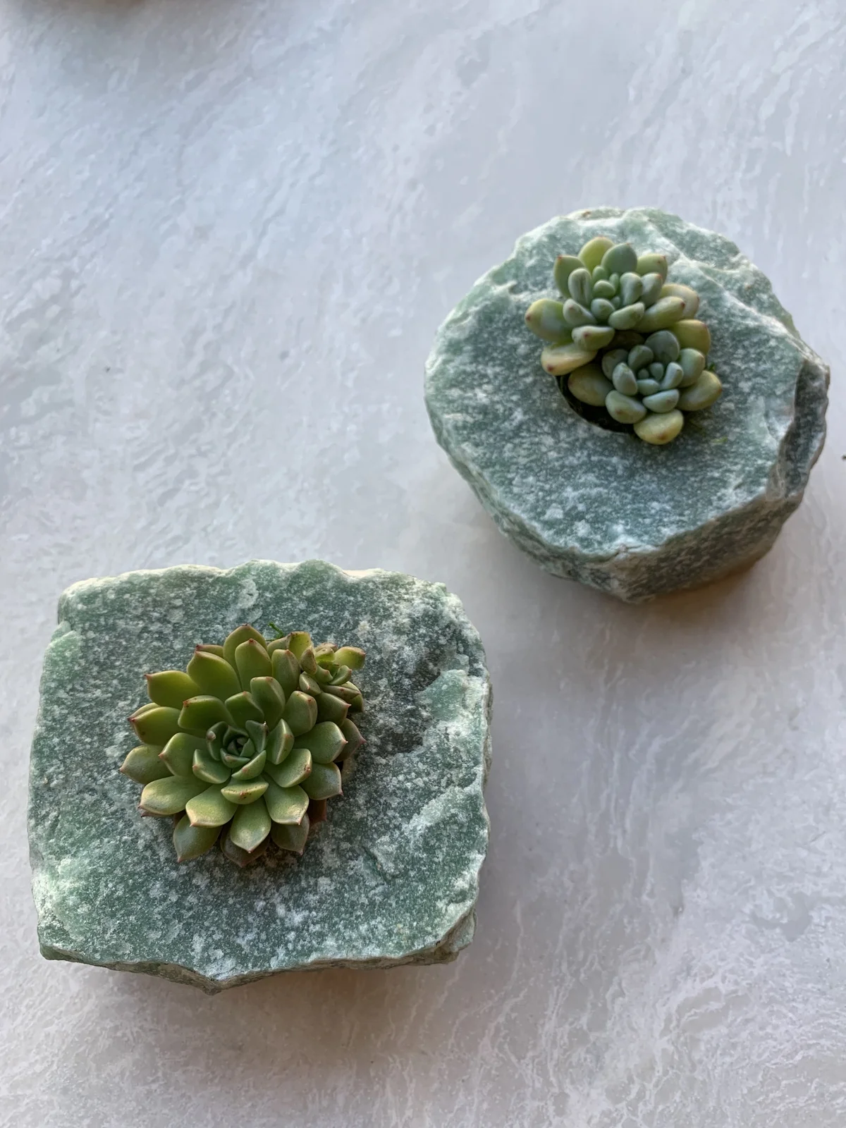 greenquartz_infinitesucculent.jpg