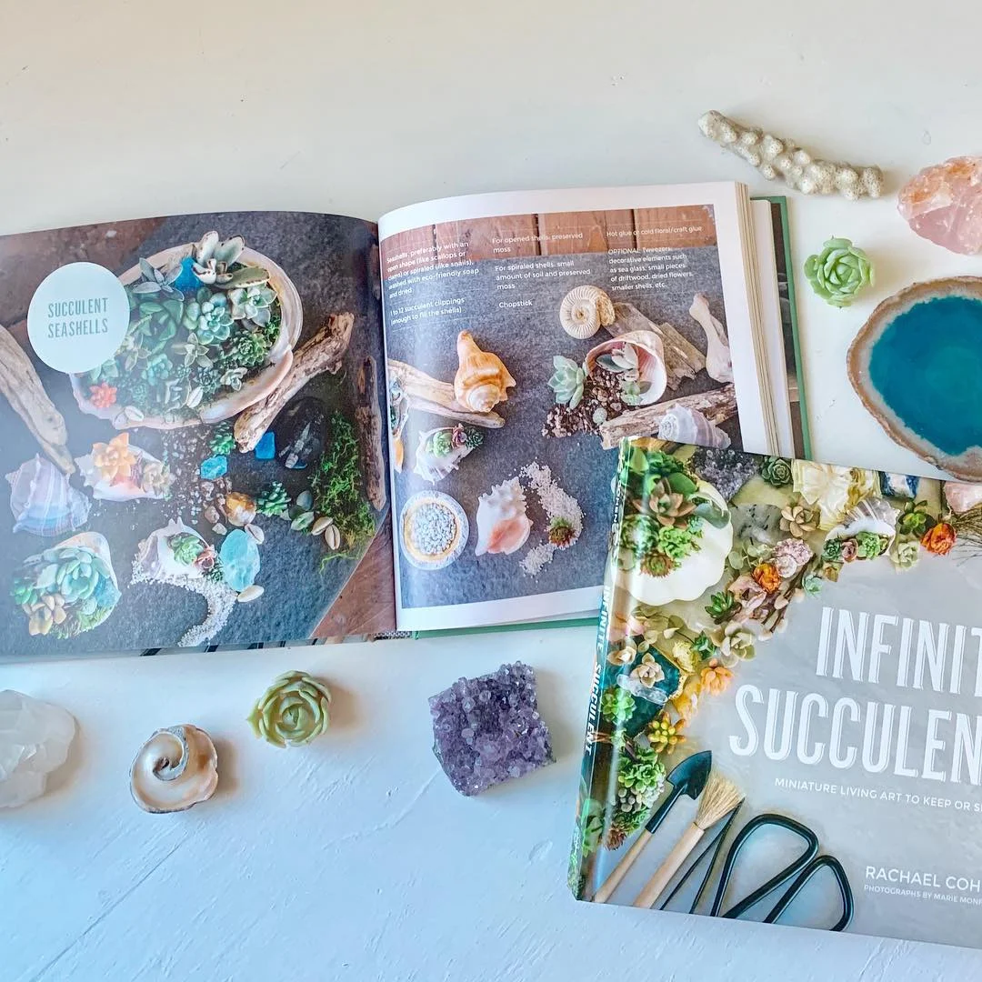 infinitesucculentbook.jpg