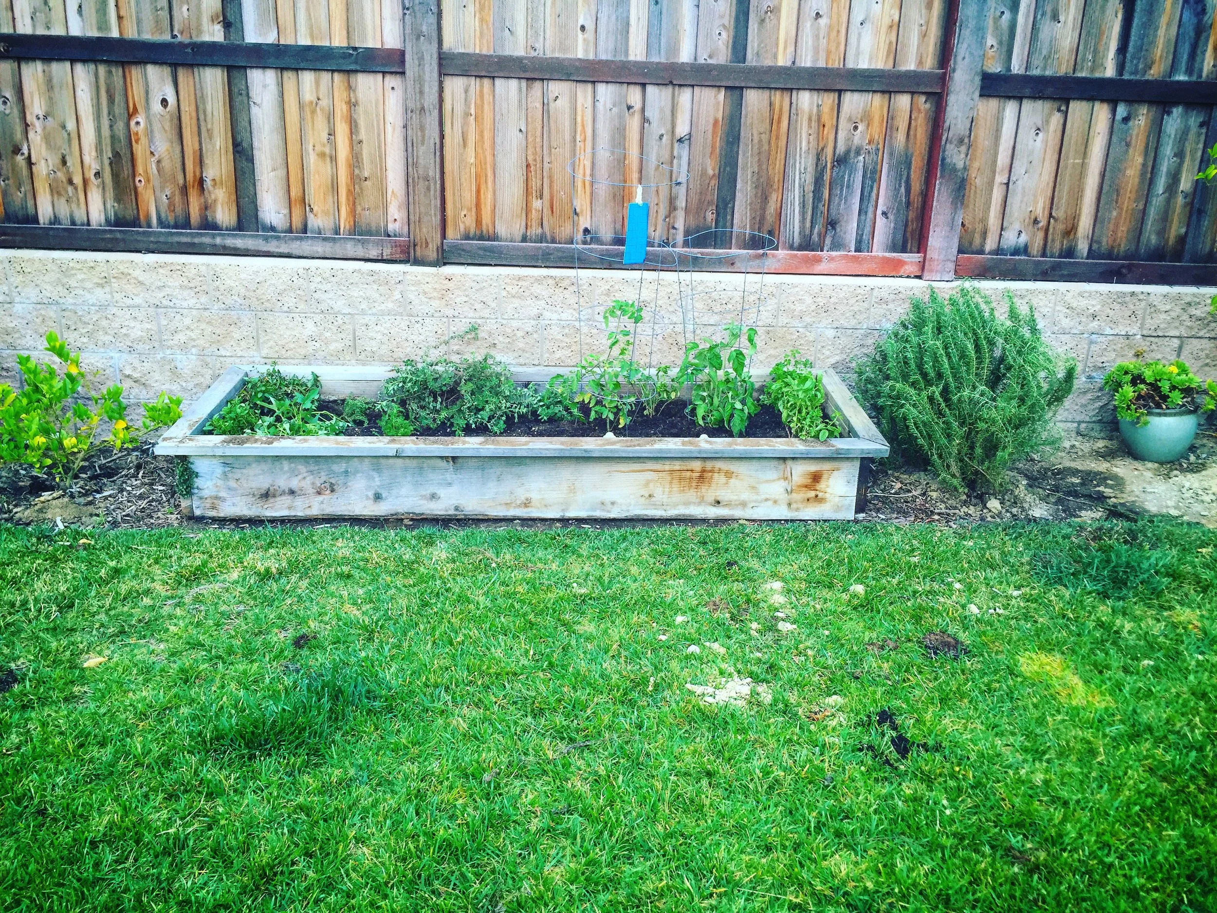 2016-05-23 06.56.04-1.jpg