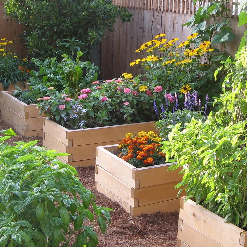 Natural Cedar Raised Beds by EarthEasy.com