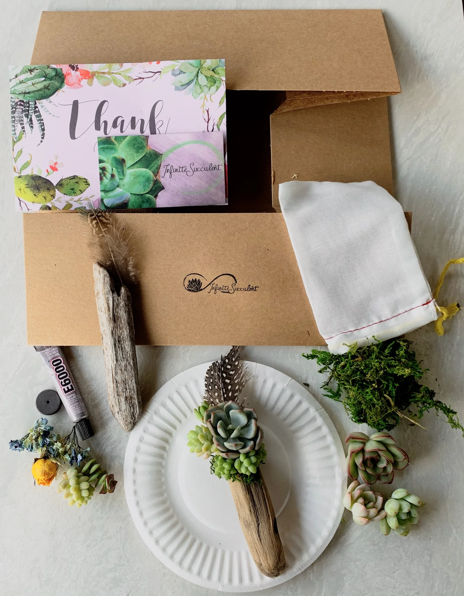 infinite_succulent_diygiftkit.jpg