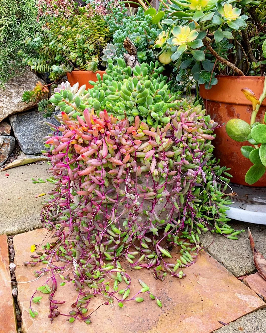 2019-03-05+09.25.25.jpg