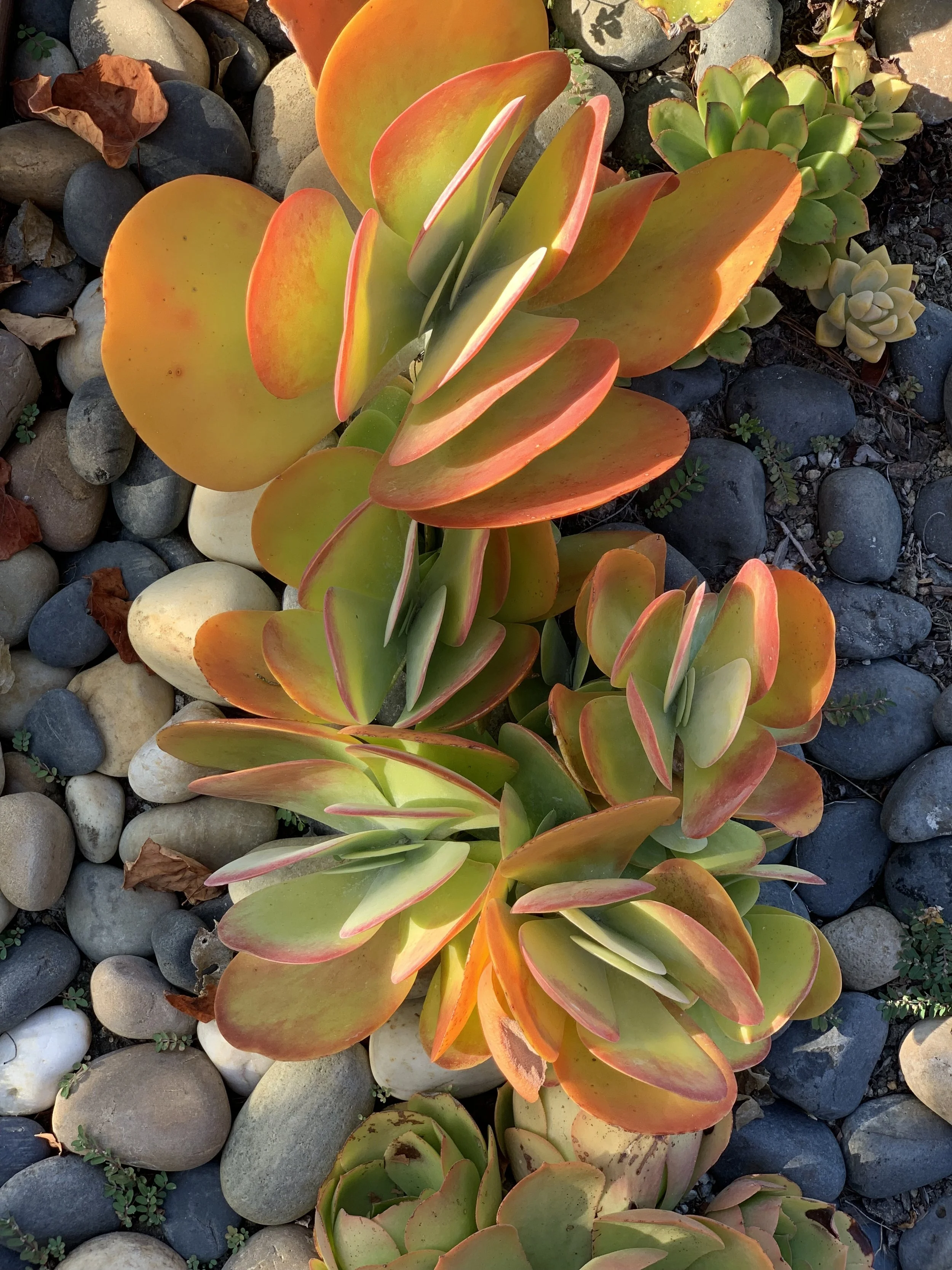 2019-09-09 16.44.00.jpg