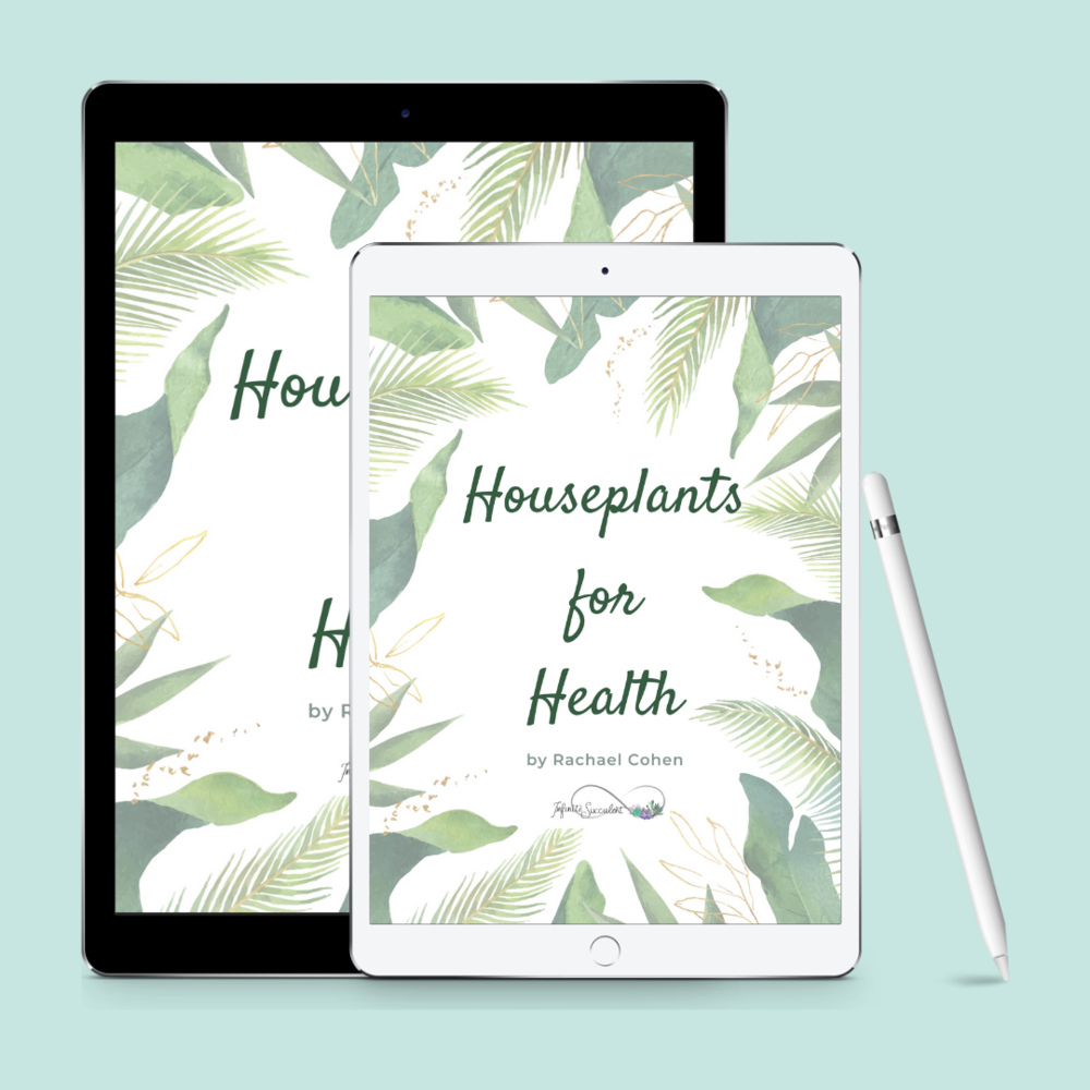 HOUSEPLANTS_FOR_HEALTH_PHOTO.png