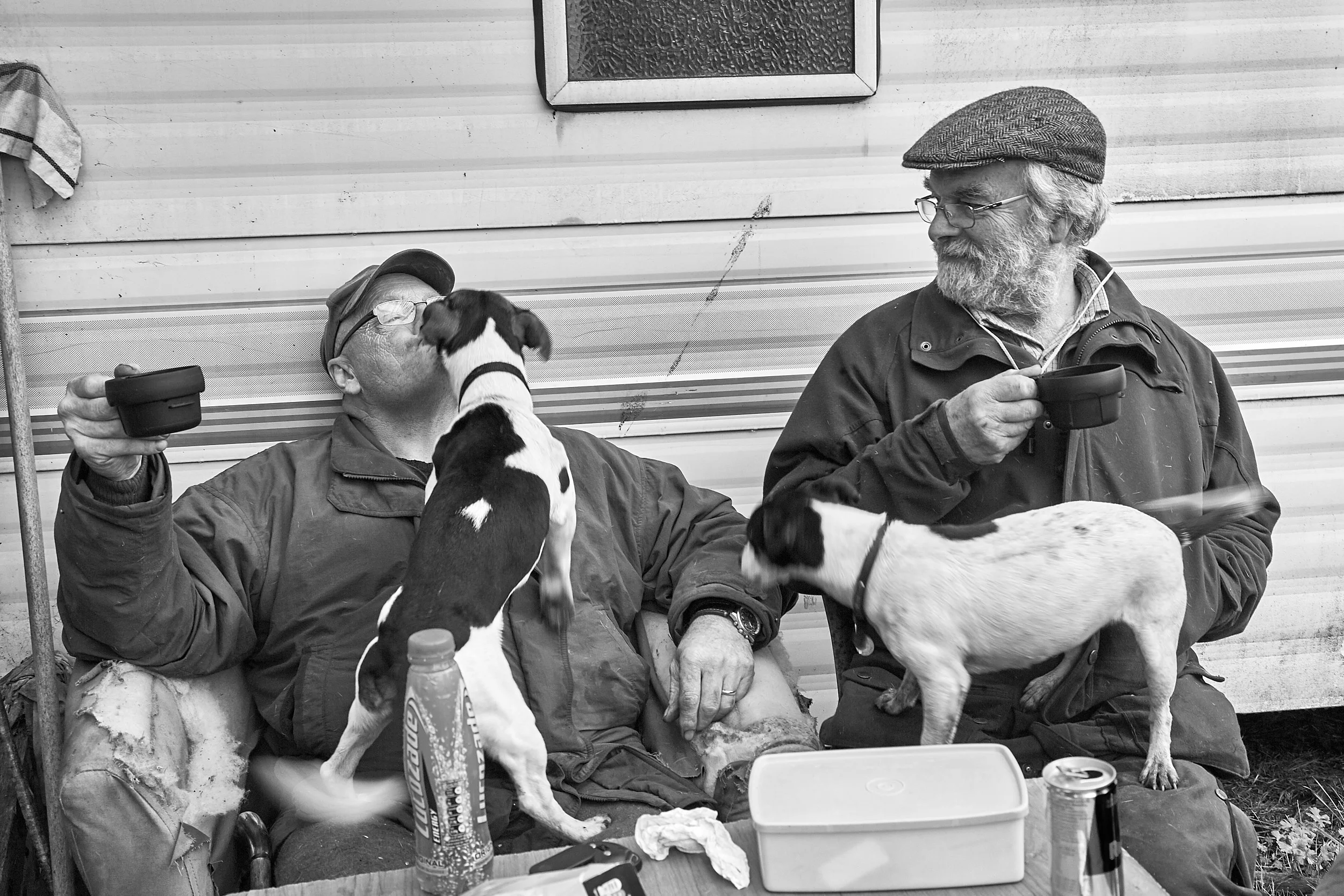 The dogs love him Taken 2017