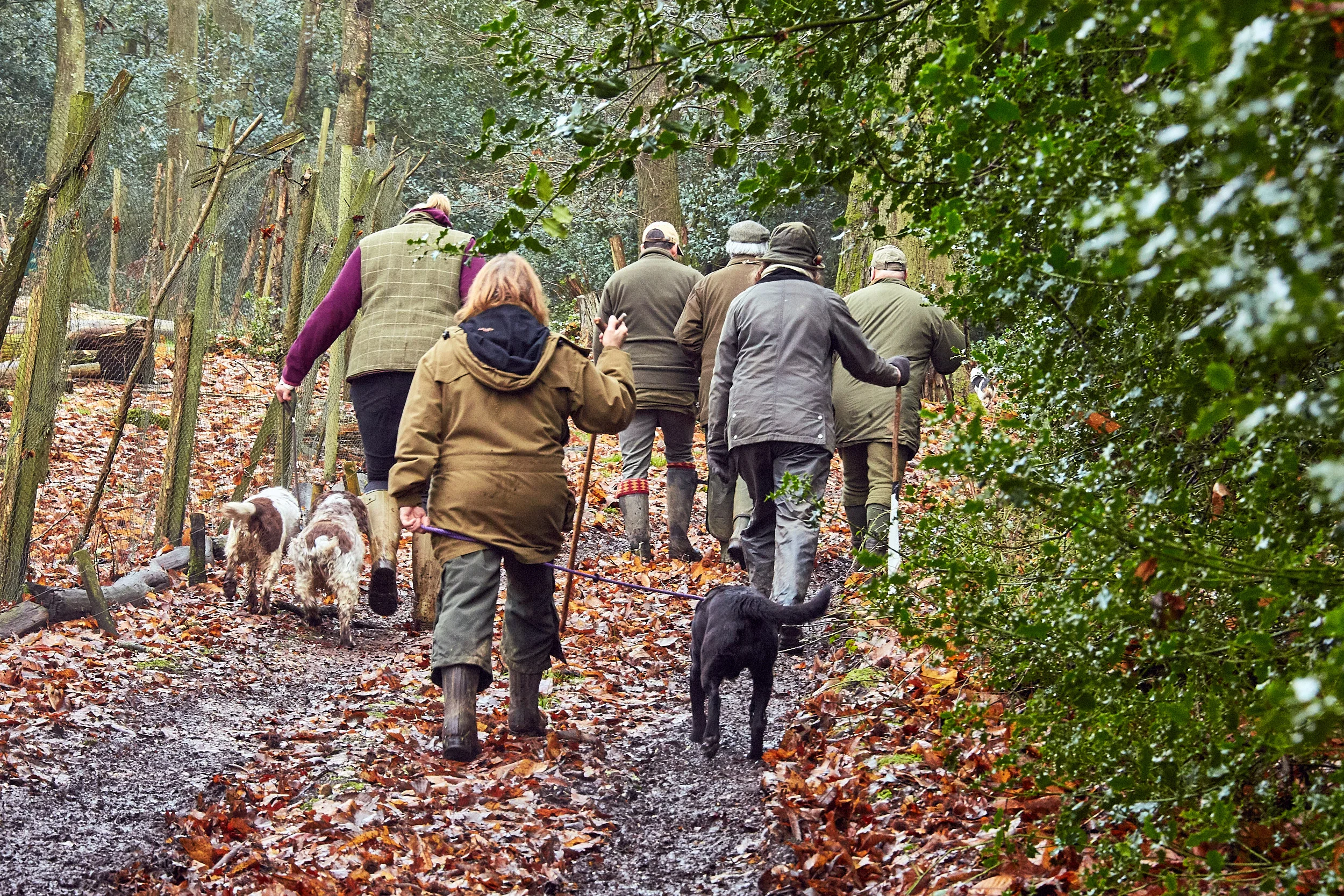Beaters and the dogs ready for the day ahead Photo taken 2017