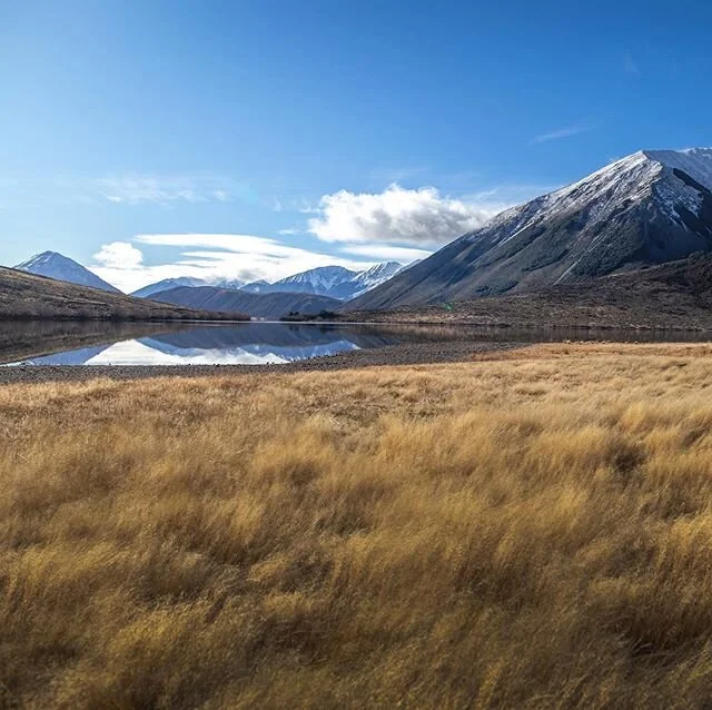 Spontaneous trip to Lake Pearson
...
#sigmaphotonz #canonnz