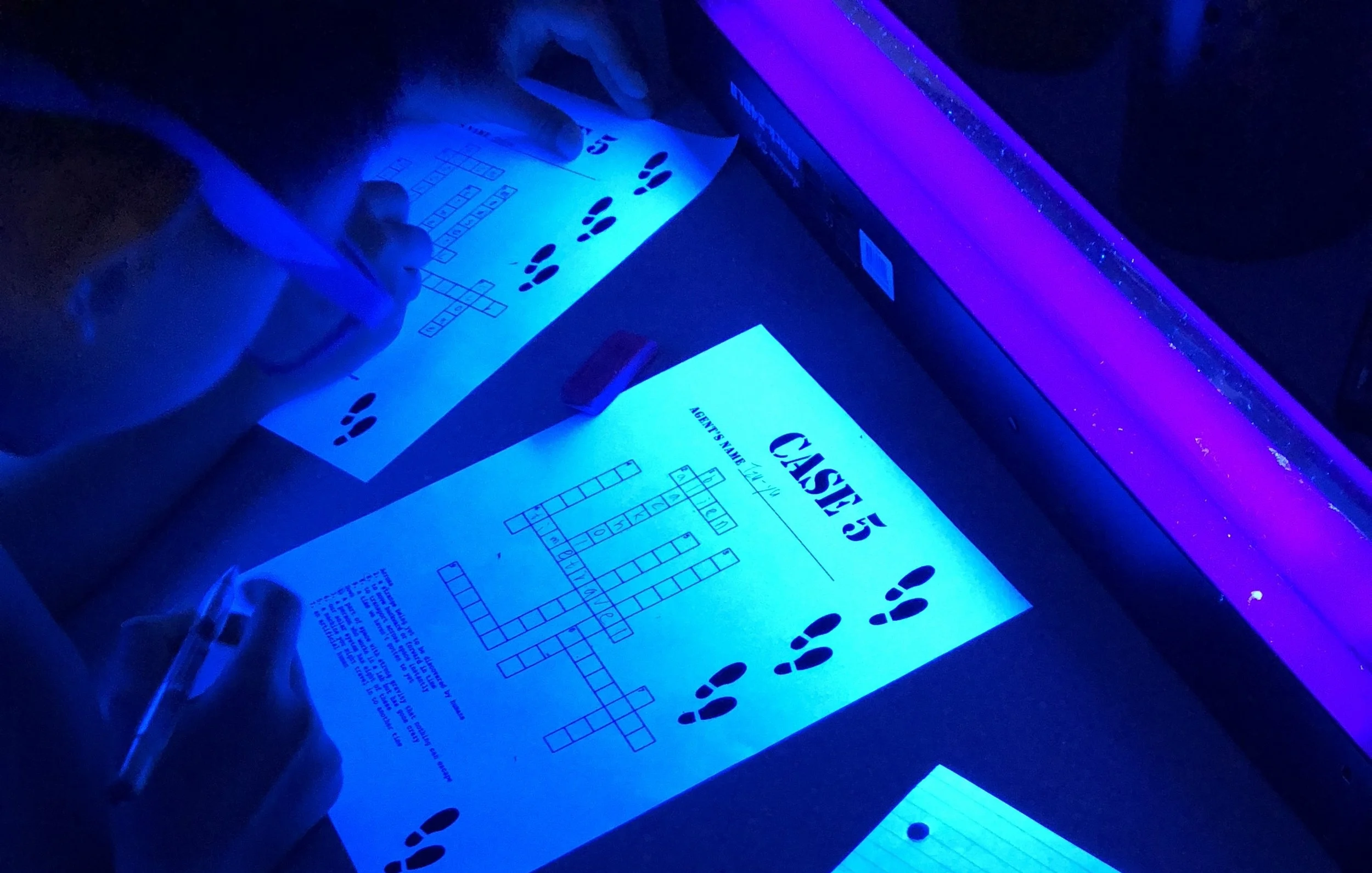 Detective Academy- Genre Study