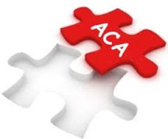 ACA Jigsaw Puzzle.jpg