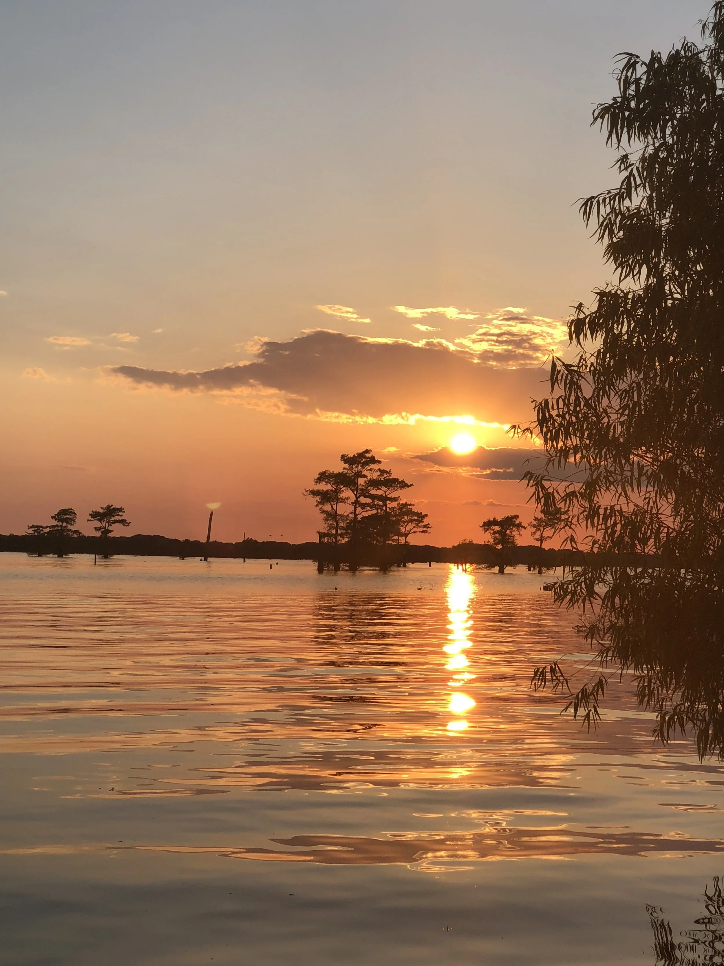 BAYOU SUNSET.jpg