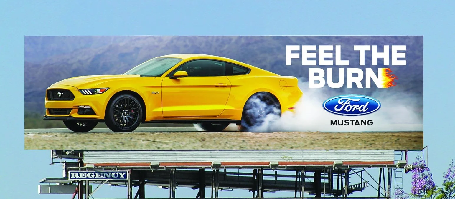 Mustang Burn.jpg