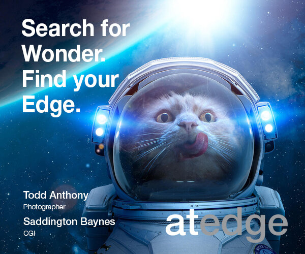 AE_Saddington300x250-2x copy.jpg