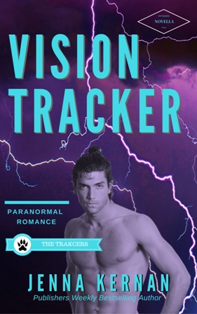 VISION TRACKER 200.jpg
