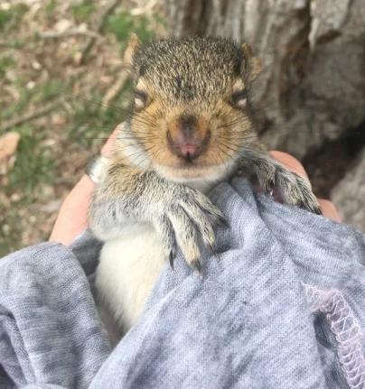 Peanut was shivering...
