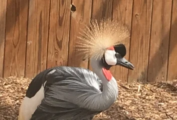 Animal Adventure Park