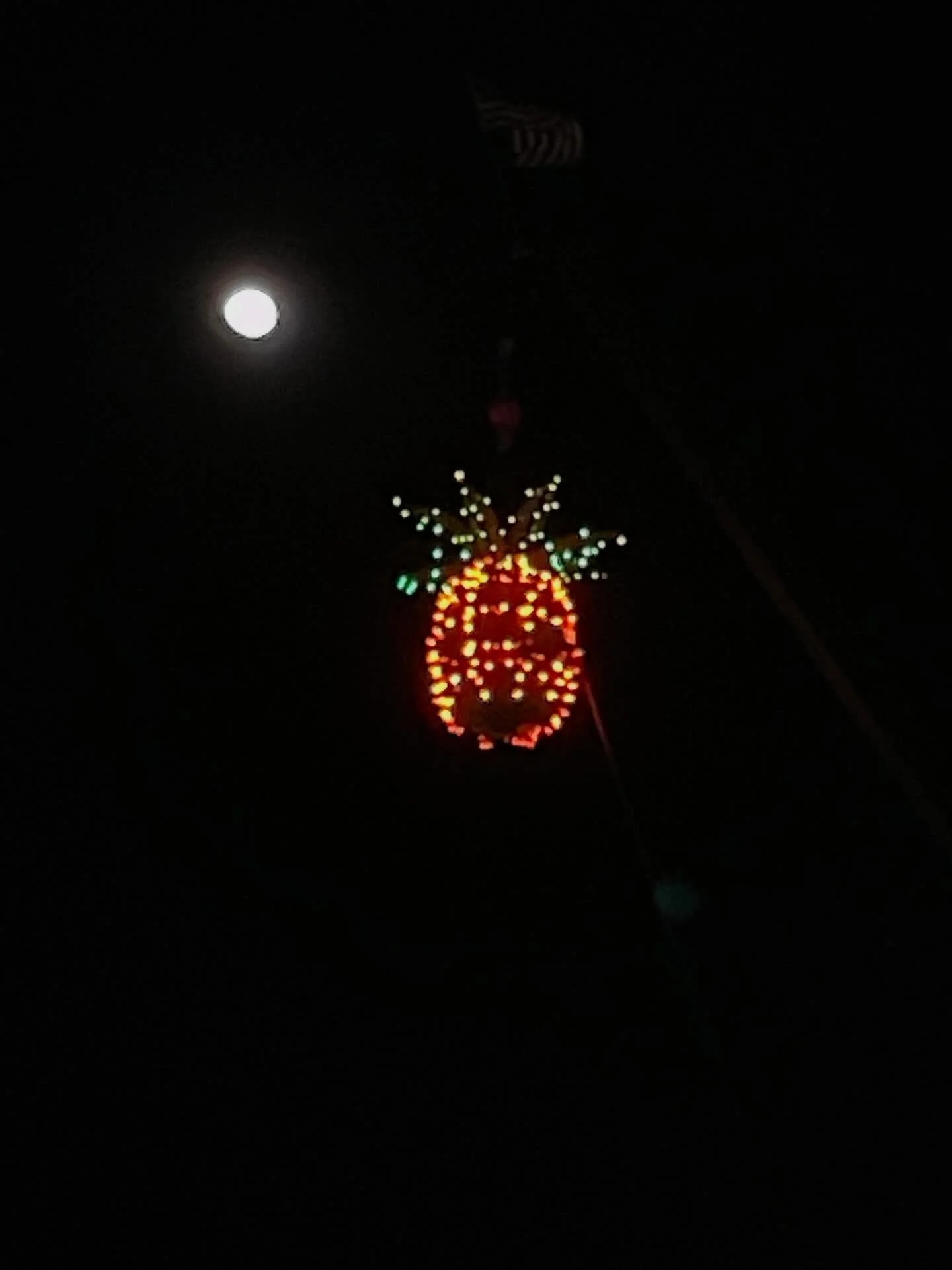 Rang in the new year with the 🍍 pineapple drop in downtown Sarasota. 🦩Becoming a New Year&rsquo;s Eve 🎊 tradition. Happy New Year to you all. Hope 2026 is healthy, happy prosperous, and filled with opportunities to spend time with friends.