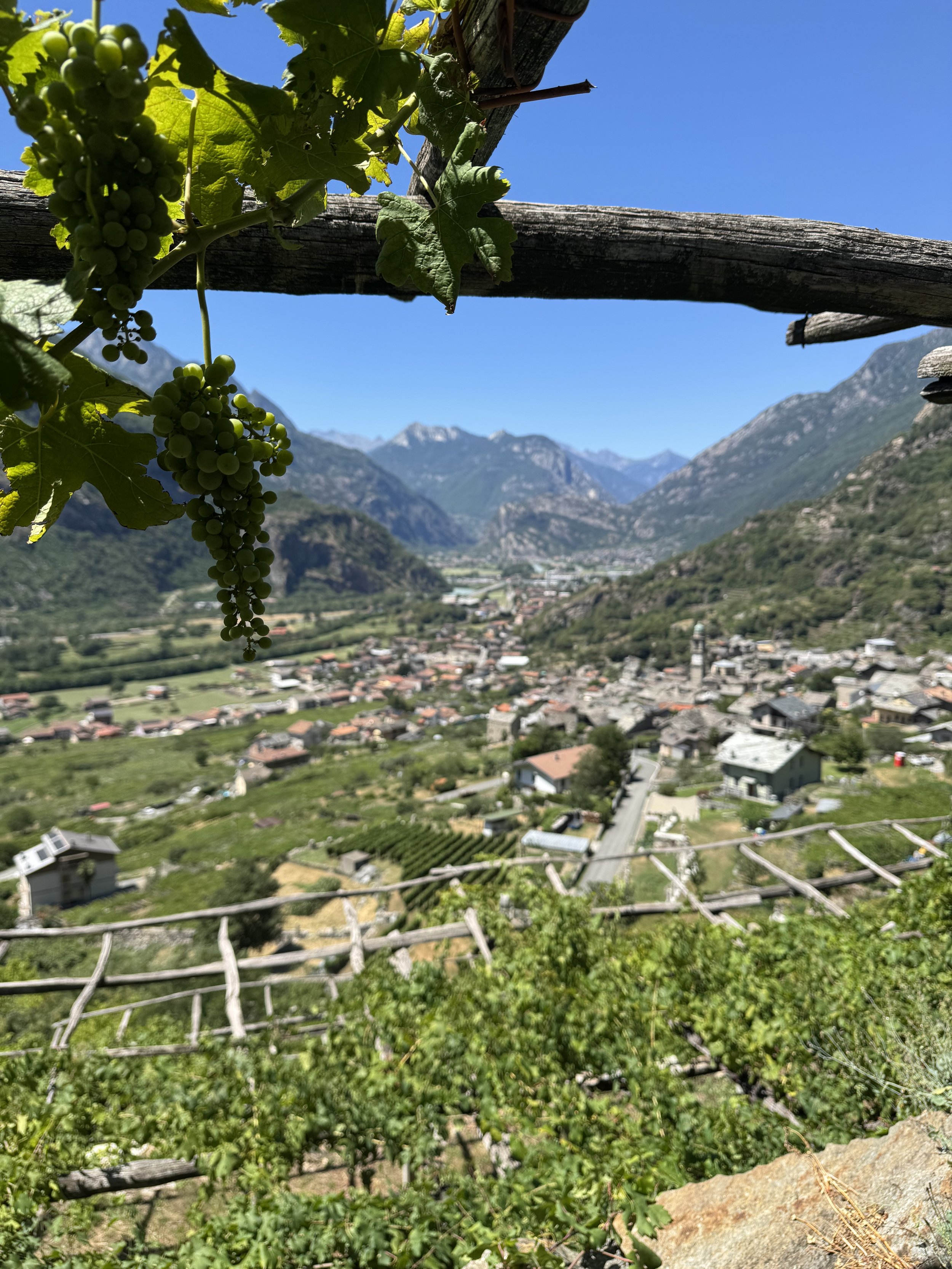 Luigi Ferrando Carema Wine Dinner with Neal Rosenthal
