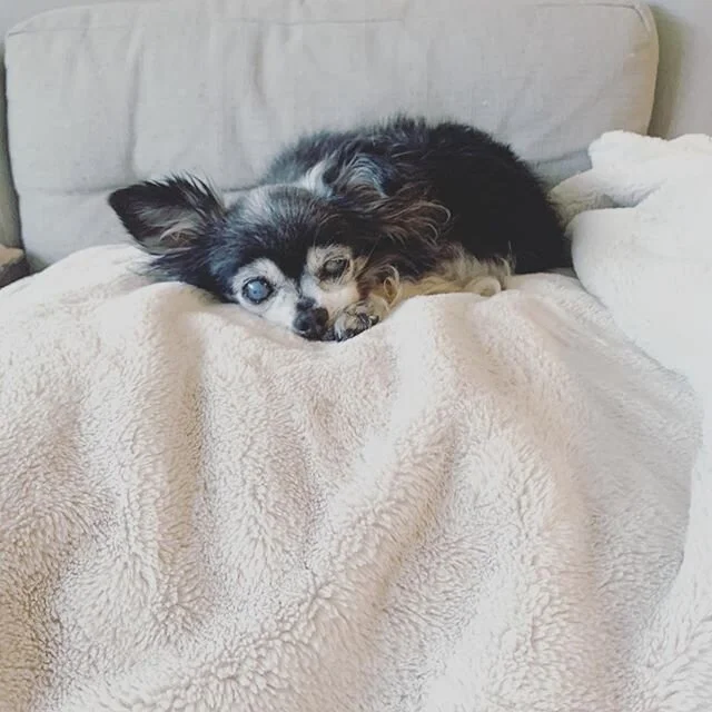 same shit, different day. i feel you old girl.
