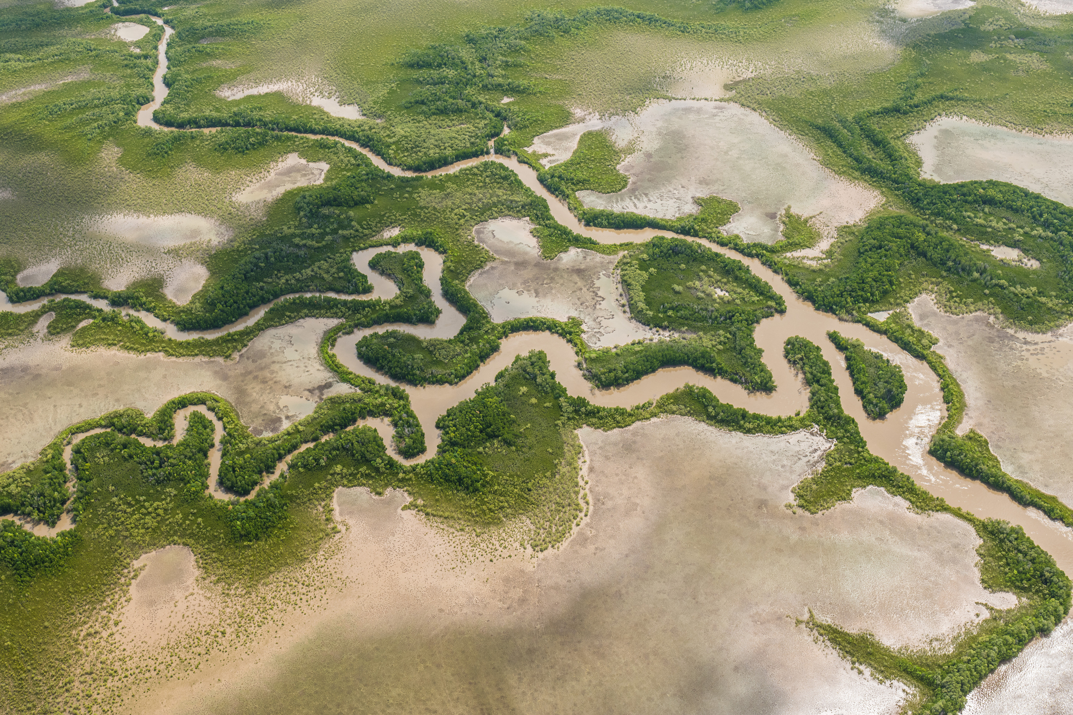  Environment &amp; Planning Lawyers   Contact Us  