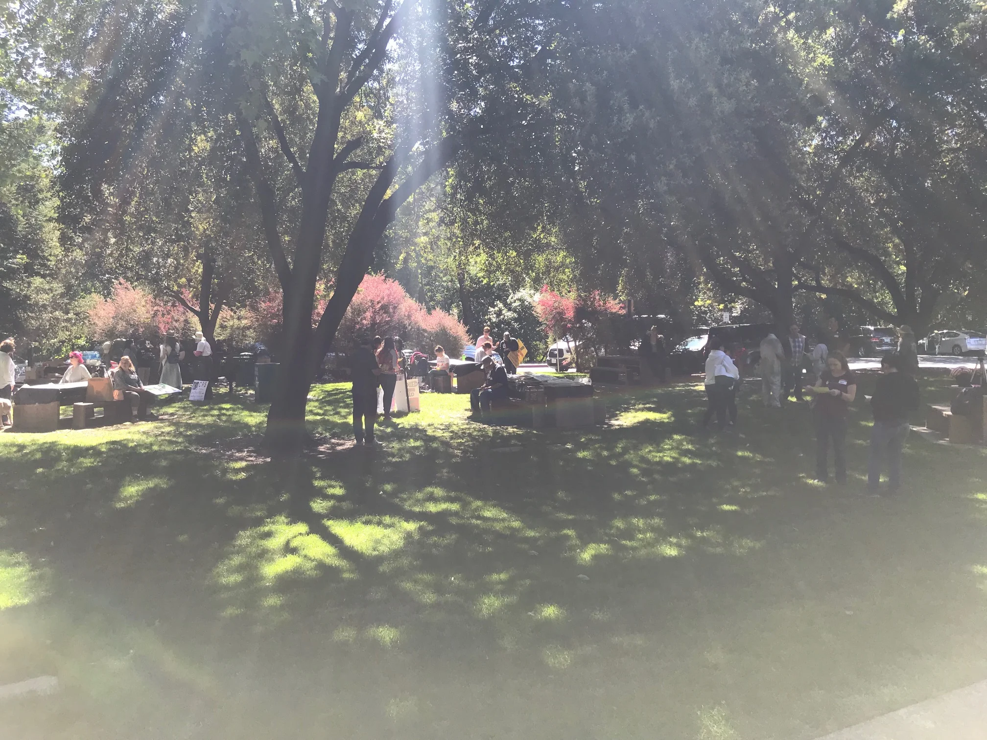 Organizers and early arrivals gather at Civic Park in Walnut Creek, California.