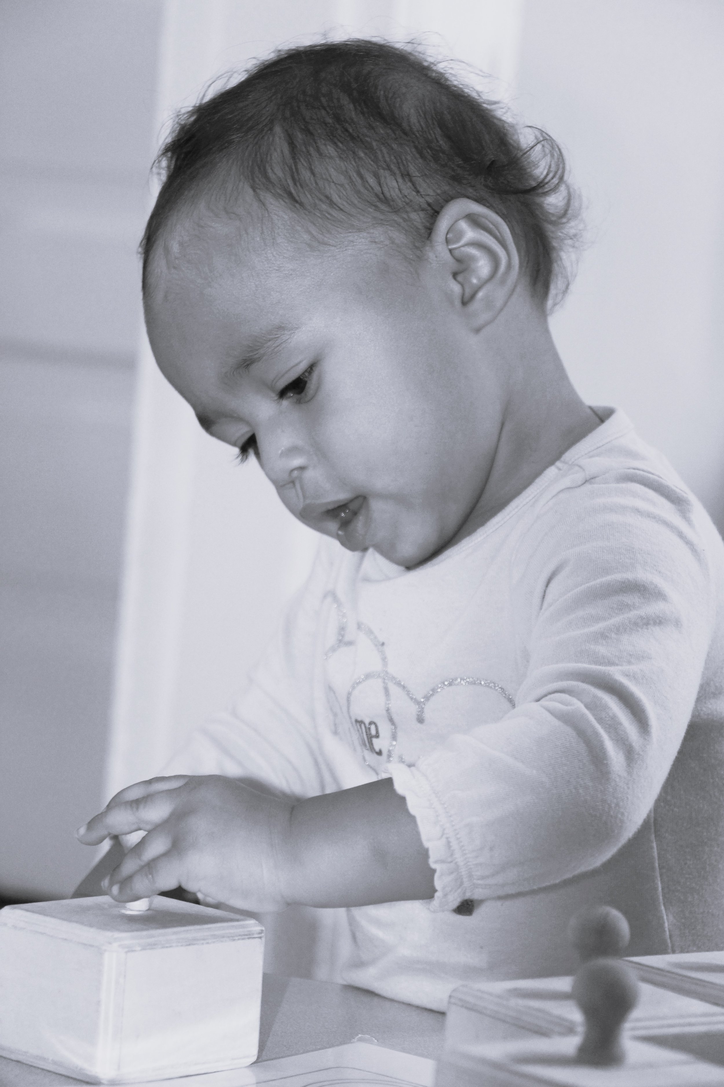 IMG_4459 - Copy1.JPG