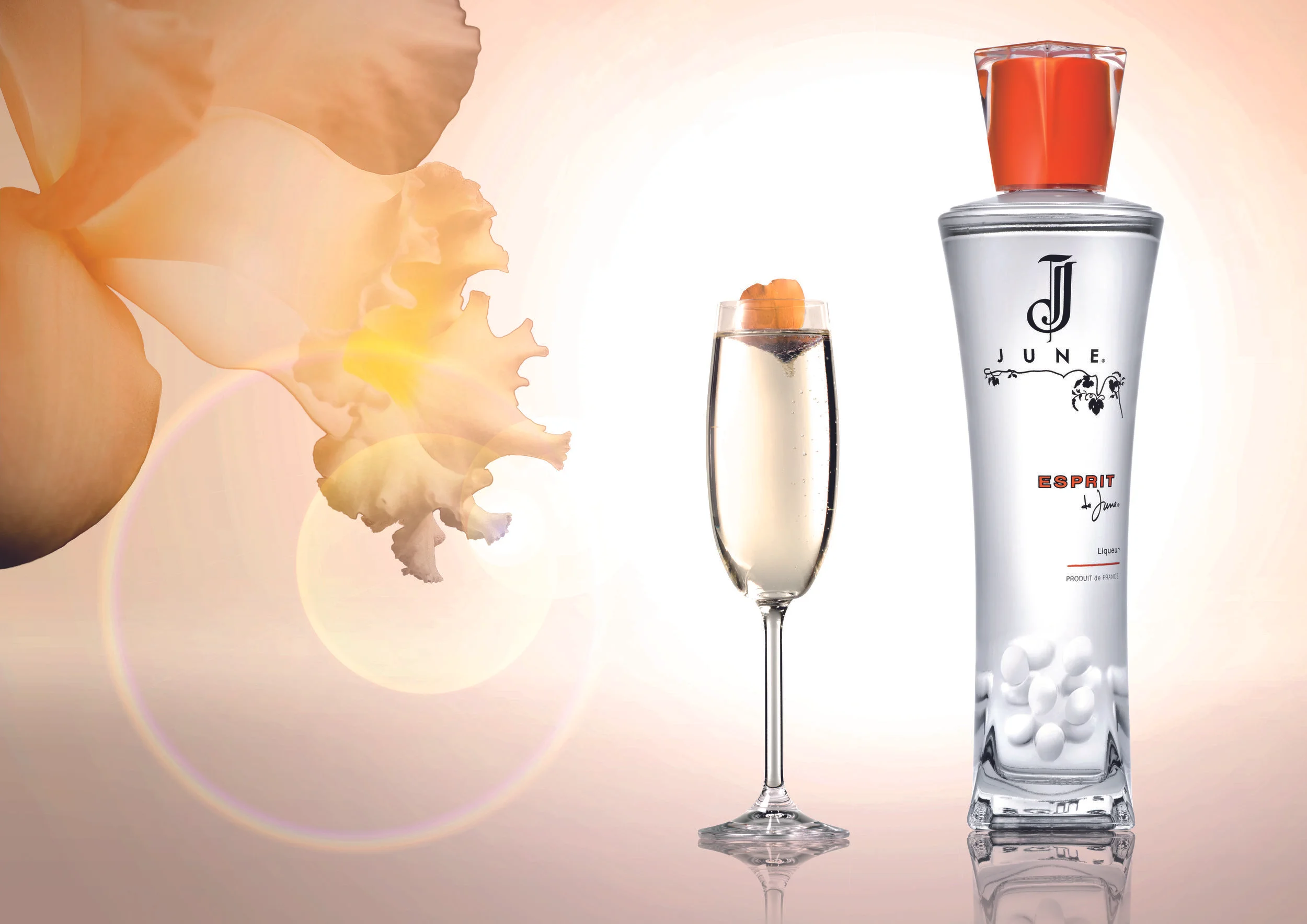 June & Champagne-CMJN-High-Res.jpg