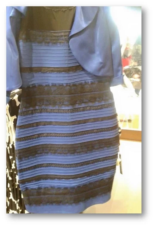  The dress. It's white and gold by the way. Clearly.