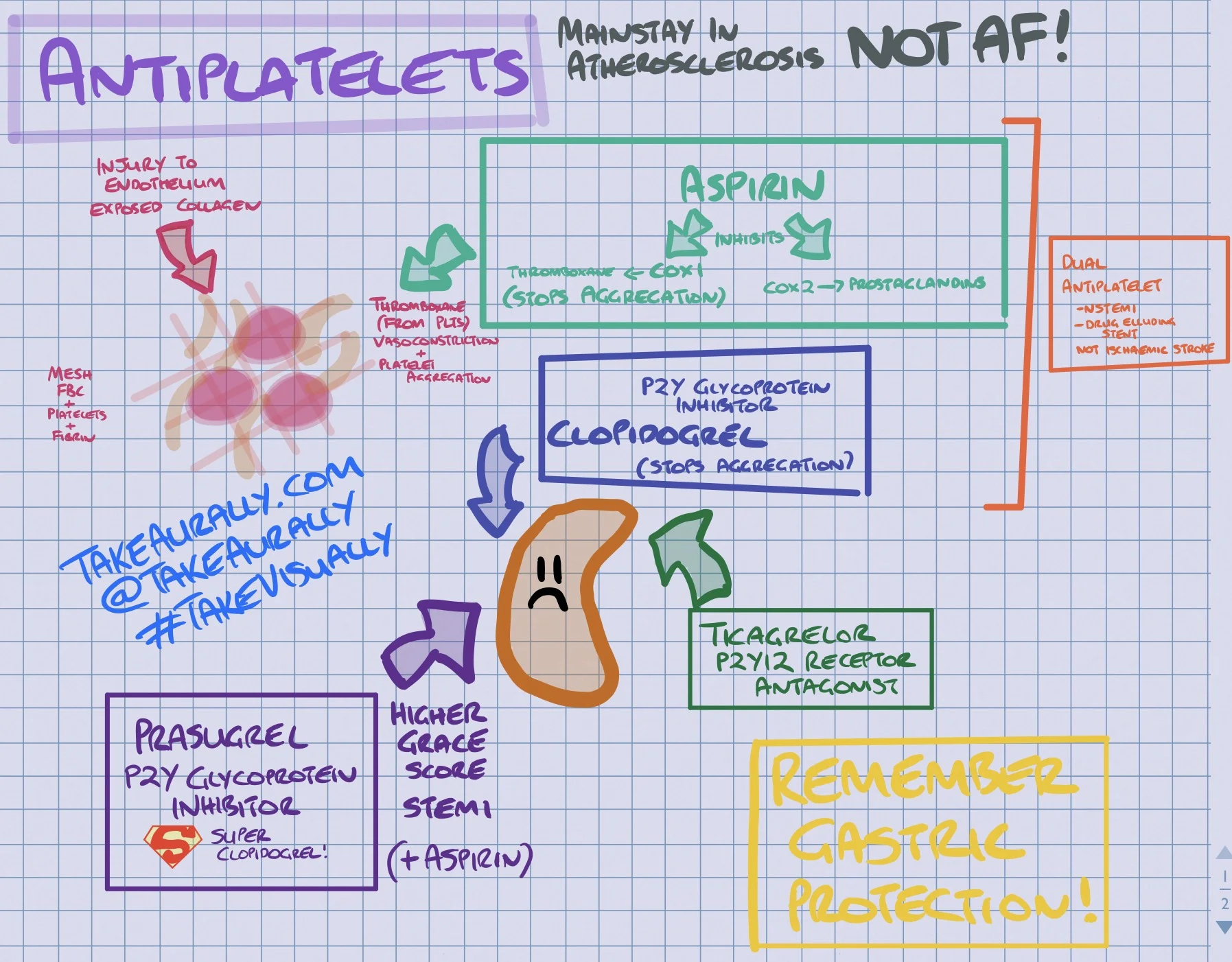 Therapeutics - Antithrombotics Part I: Antiplatelets