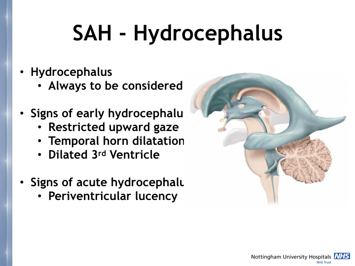 Neurosurgery in the emergency department.026.jpeg