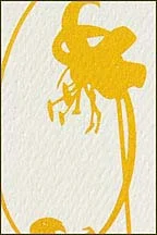 detail-2_rb-004.jpg