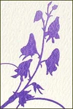 detail-2_rb-007.jpg
