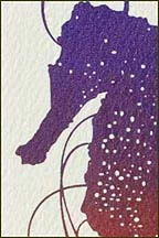 detail-2_rb-014.jpg