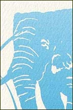 detail-2_rb-015.jpg