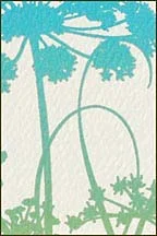 detail-2_rb-019.jpg