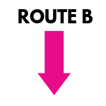 SOLO1 ROUTE2.png