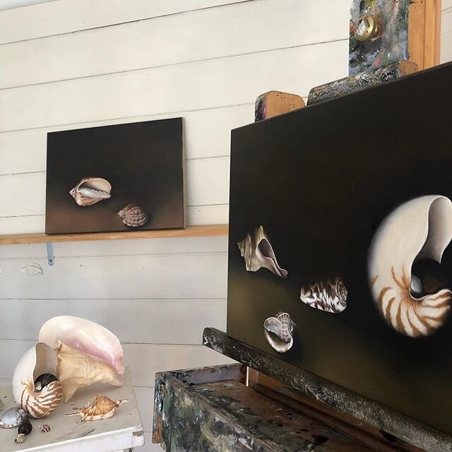 Studio 2020  #shells#covid_19 #stilllife#isolation