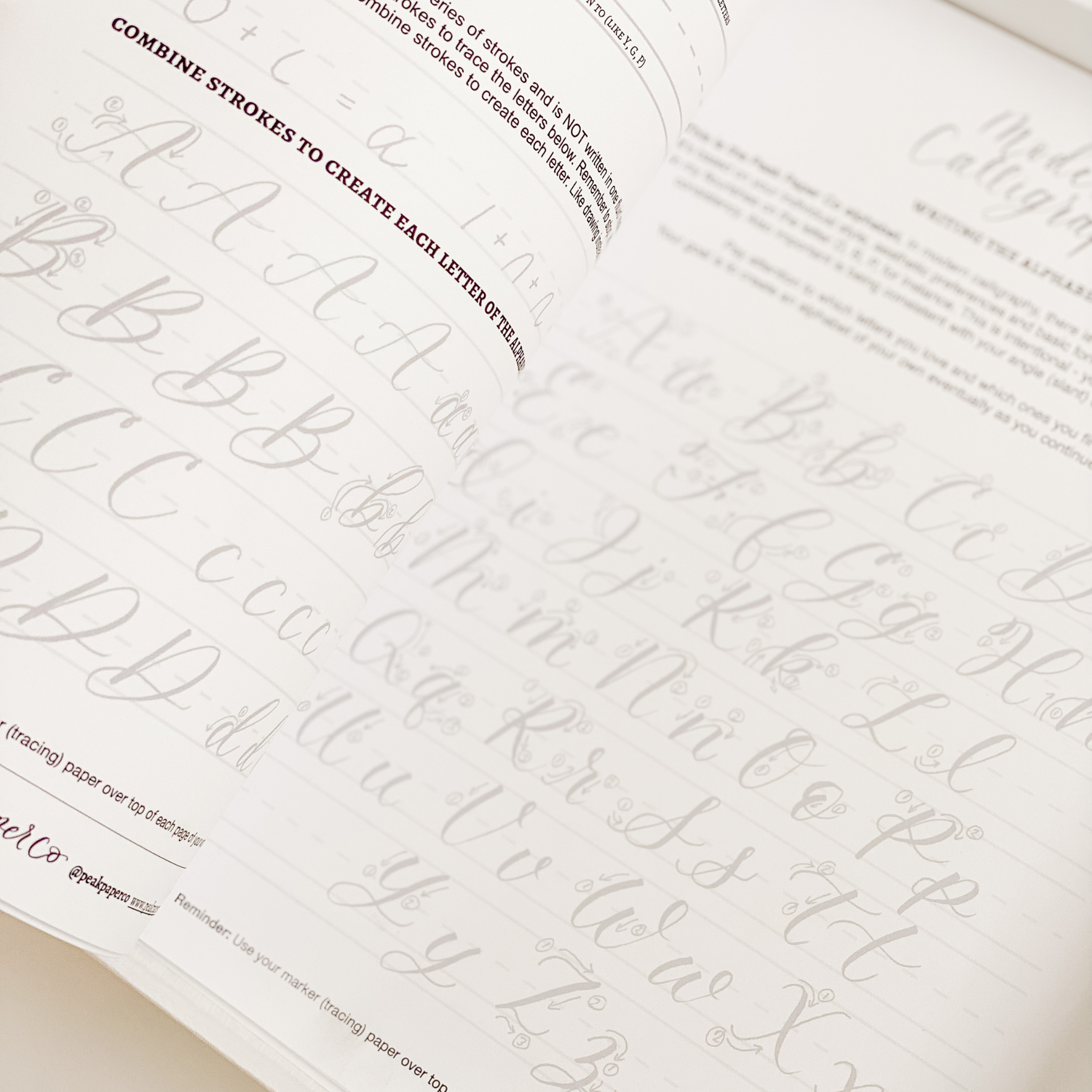 Beginner's Calligraphy Kit + Bonus Worksheets — Peak Paper Co.